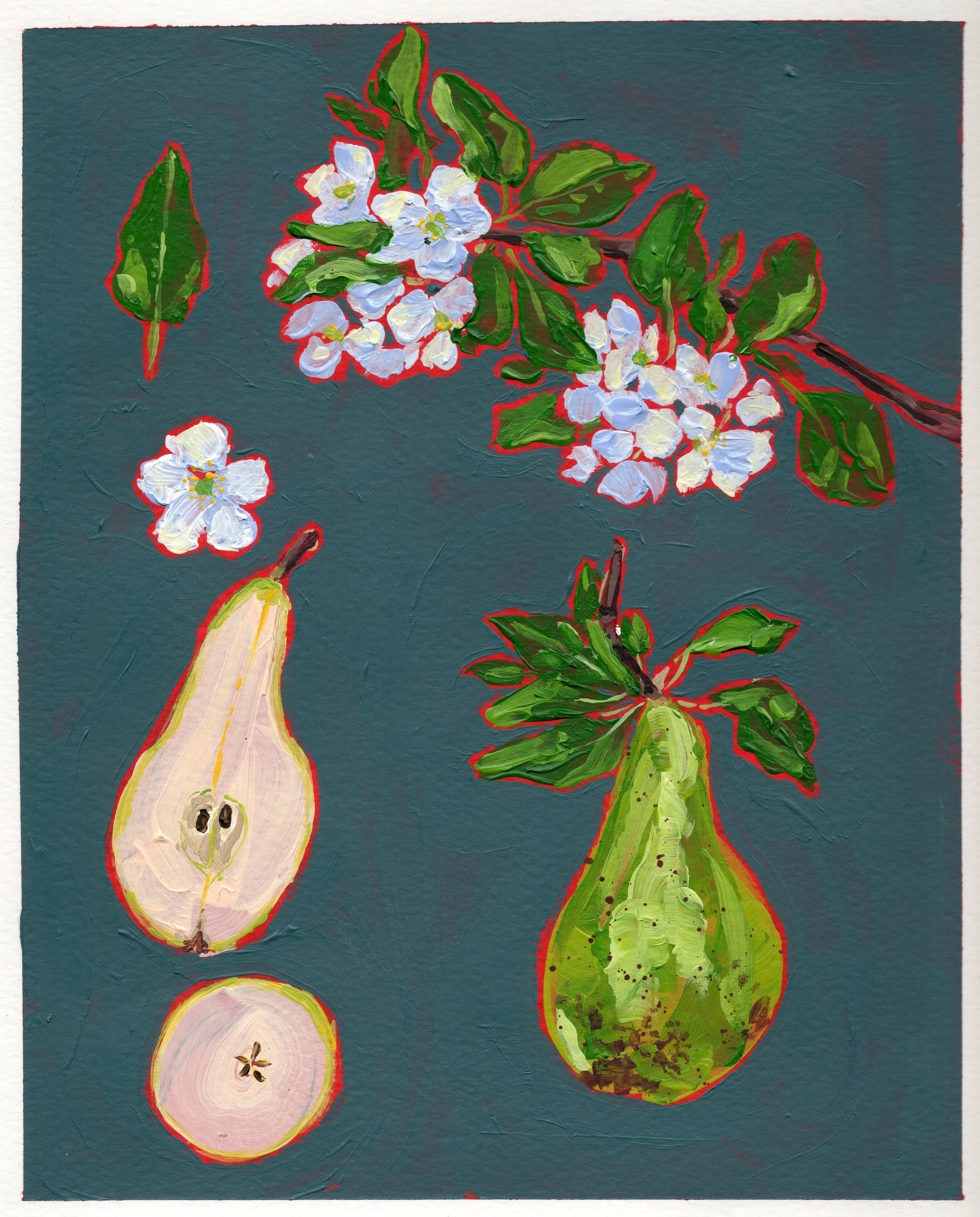February 4 - the Pears