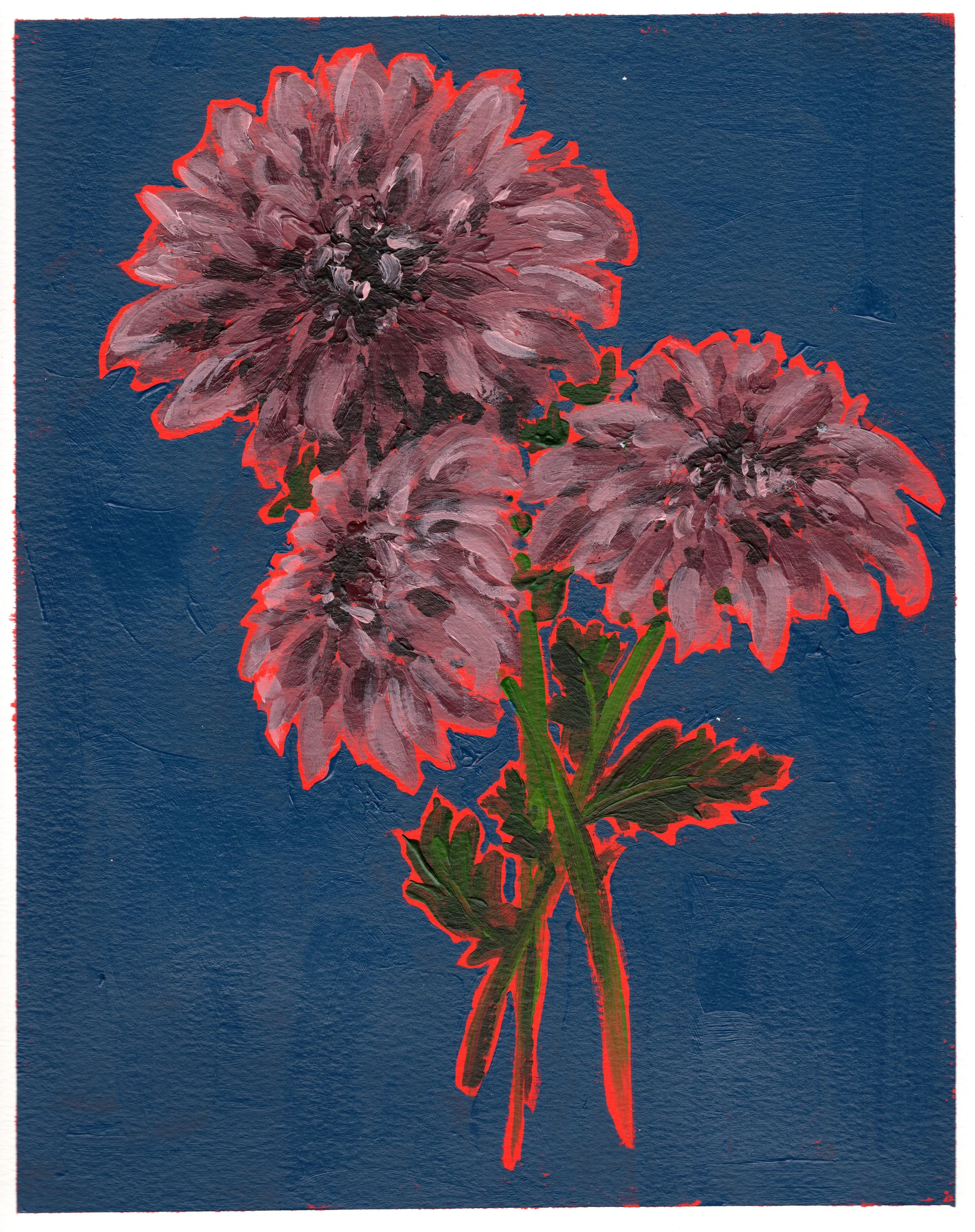 May 5 - Dahlias
