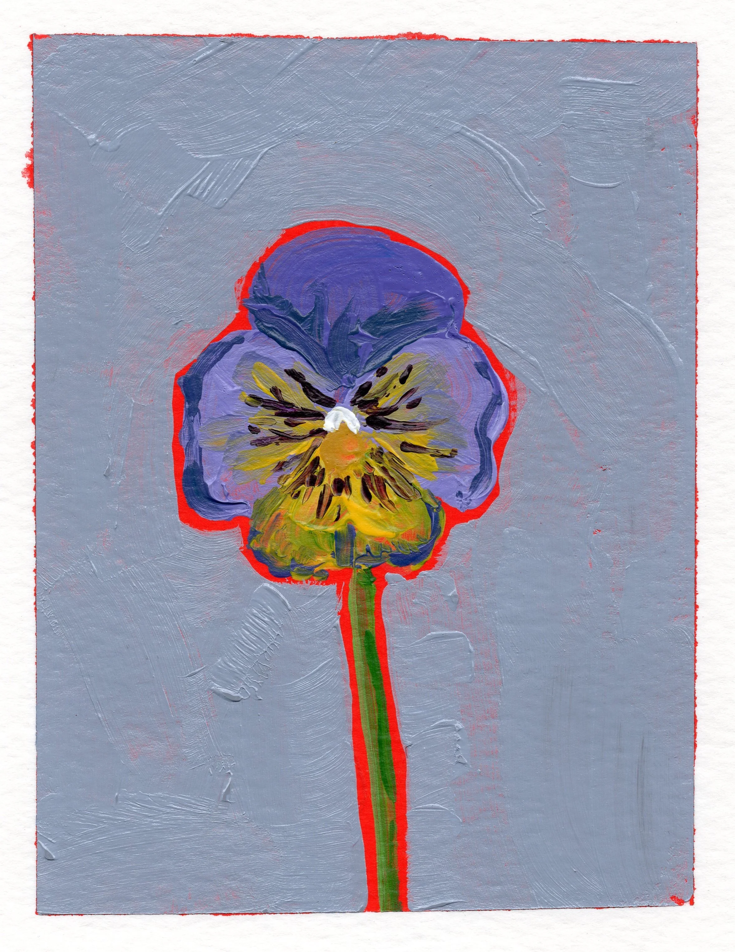 February 5 - the Pansies