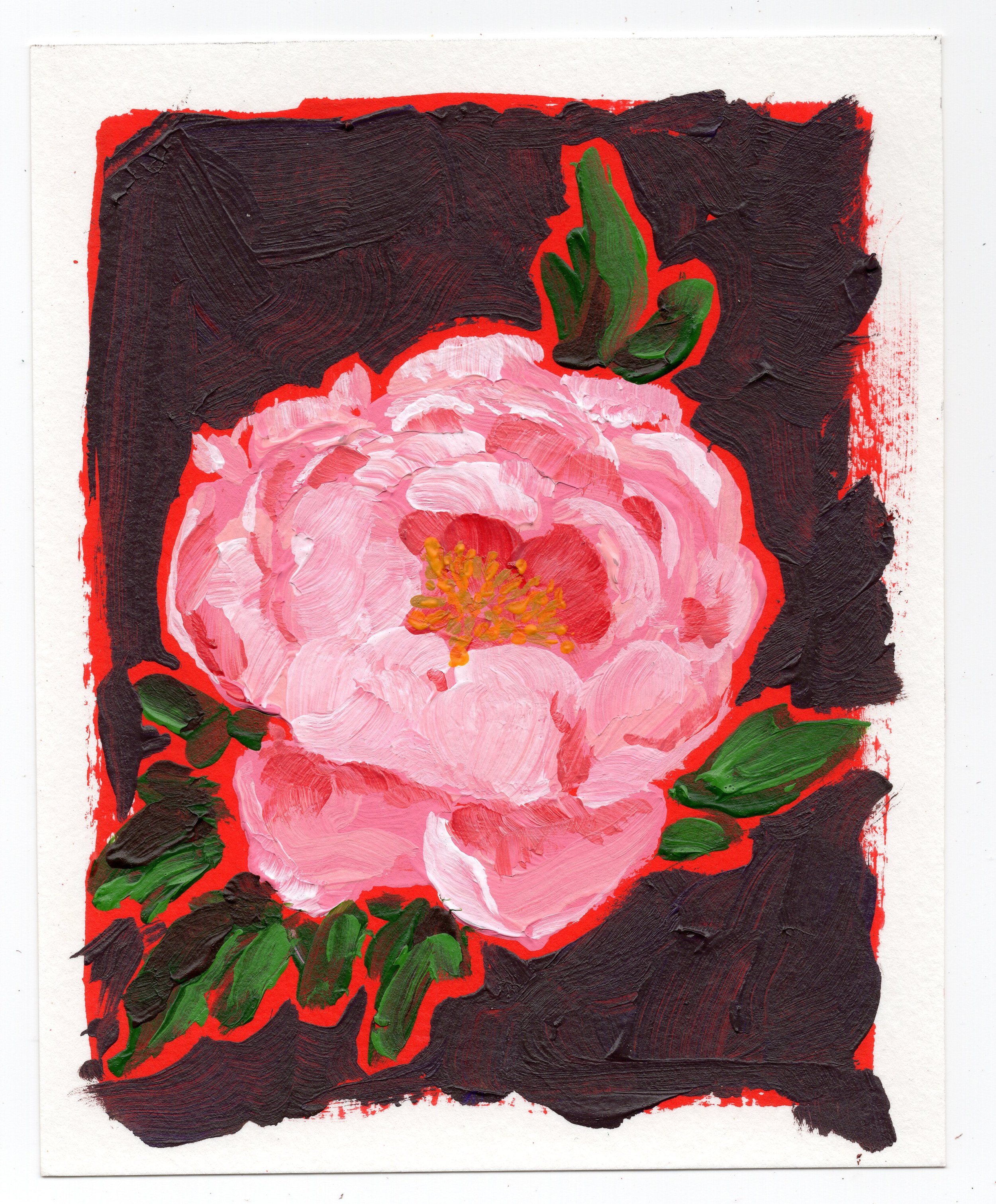 May 2 - Peony 1