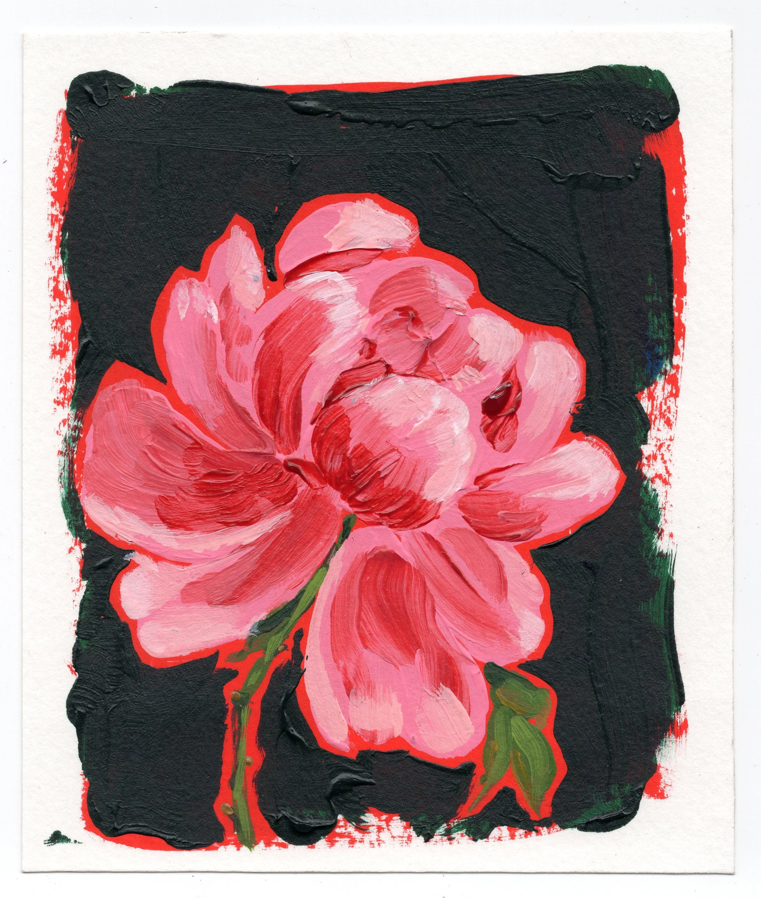 May 4 - Peony 3