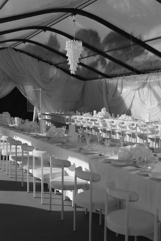 felix chair white.jpeg