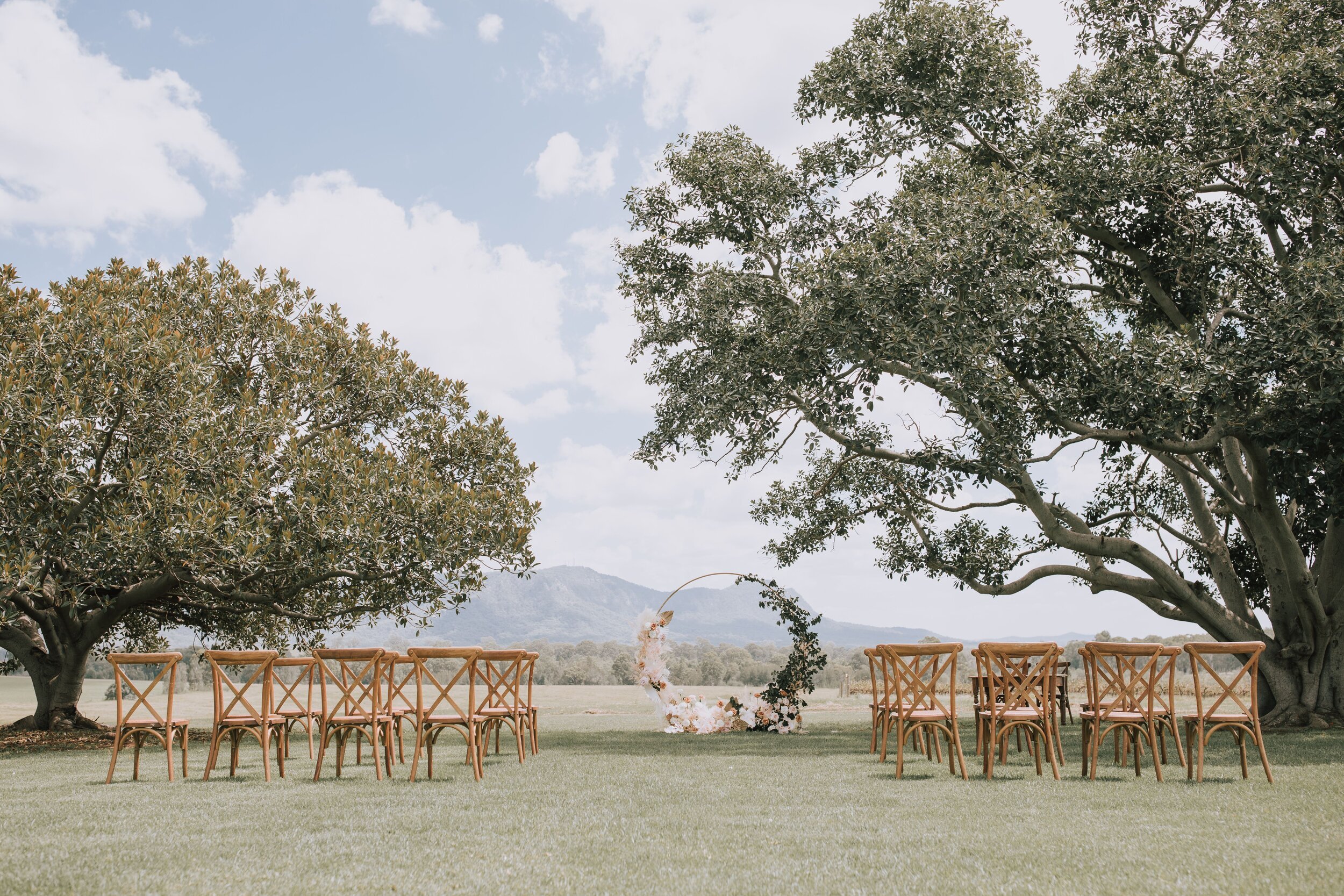 crossback chair oak