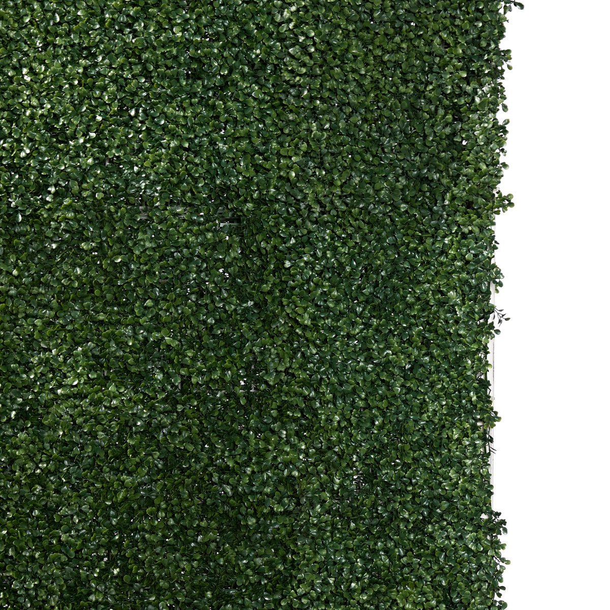 greenery wall simply seated