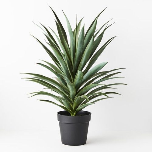 Artificial-Yucca-Plant-80cm-SET-OF-2-PlantBox.jpg