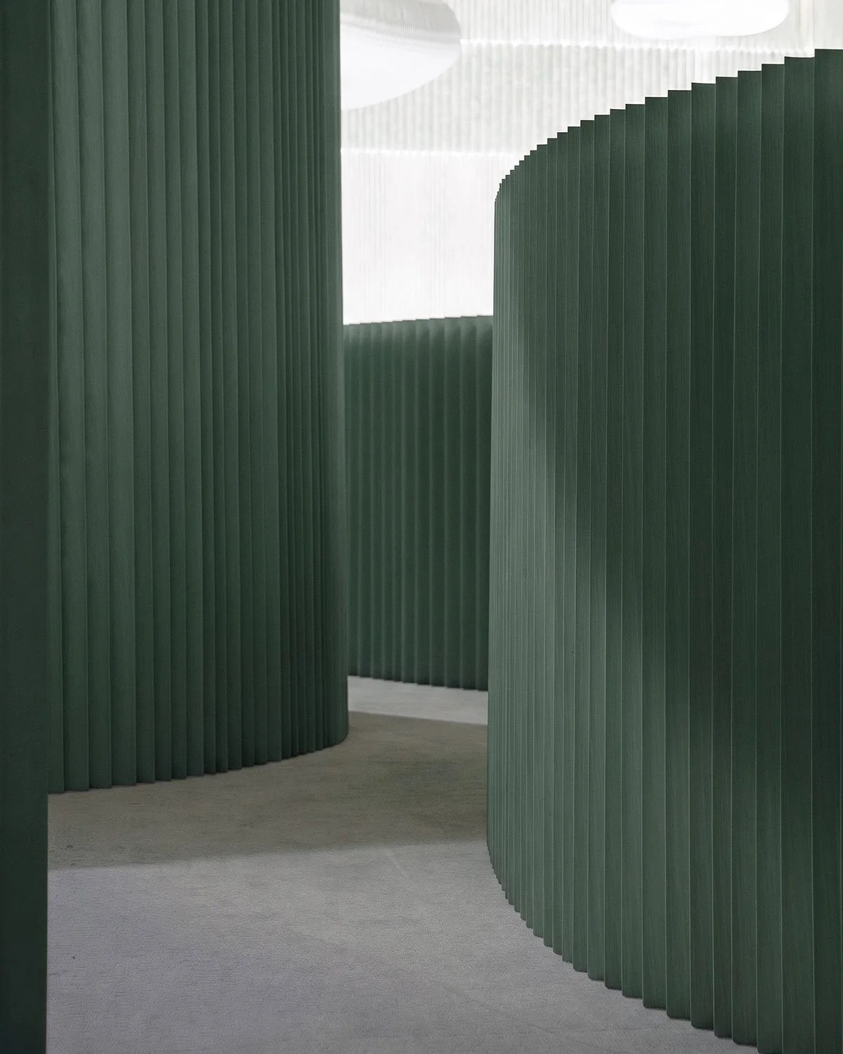 SOFTWALL - FOREST