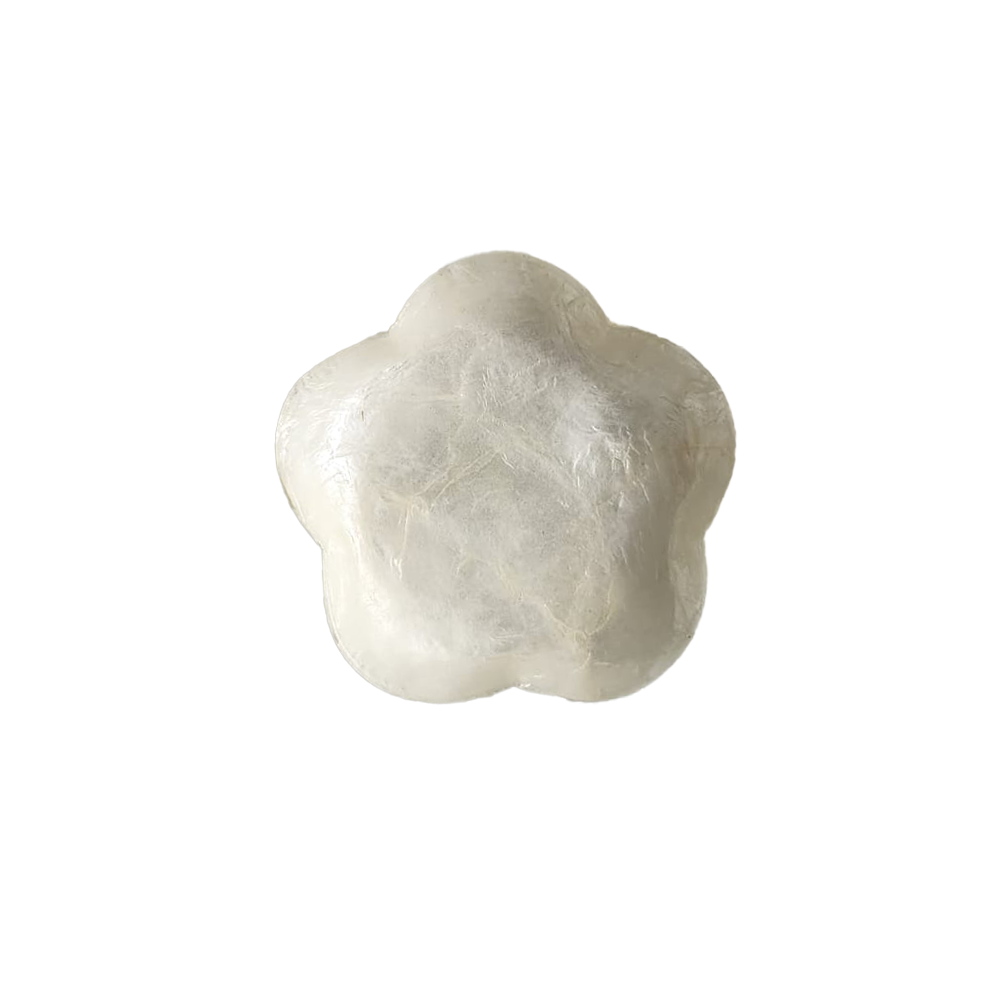 09_10_2024_Pearl-Flower-Dish03.png