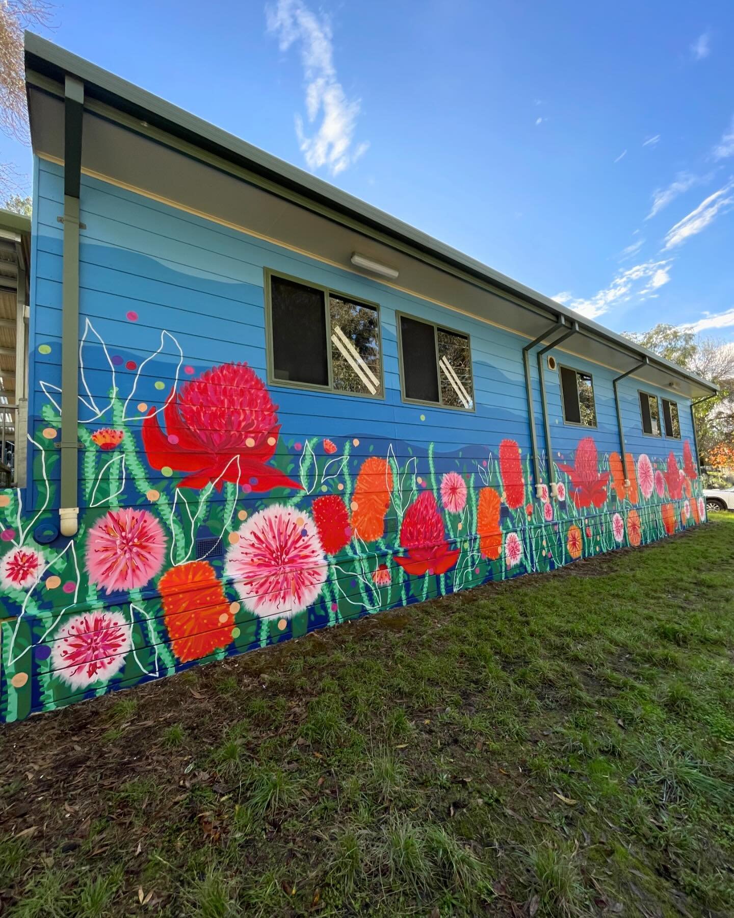 Throwback to one of my top fave murals created for Crafers Primary school. This beauty sits on the side of the road that heads to the lower carpark of the Mt Lofty Botanic Gardens so gets lots of views, and she makes me smile every time I see her!