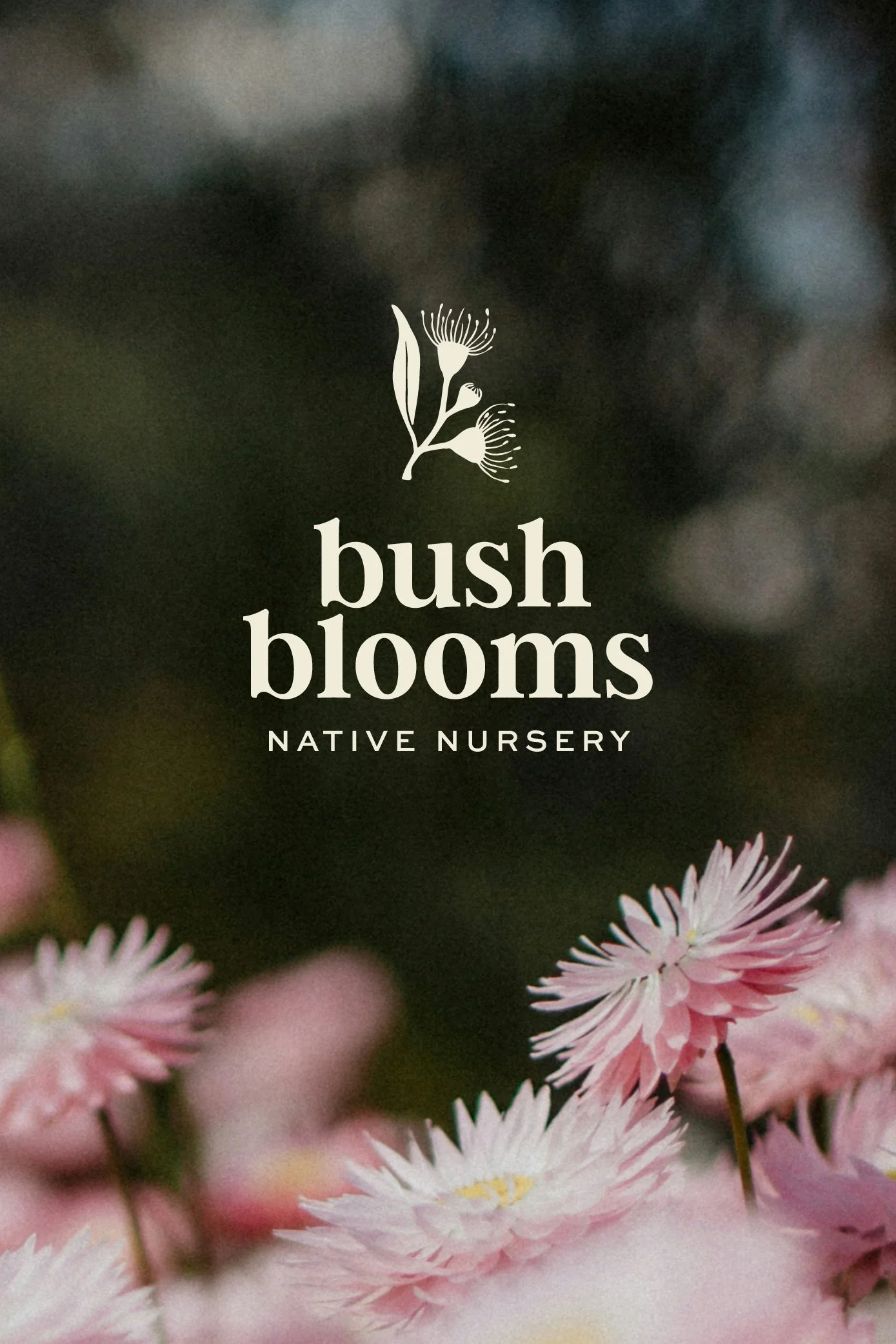 A logo for Bush Blooms Native Nursery featuring a simple illustration of gum blossoms, set against a background of pink and white flowers.