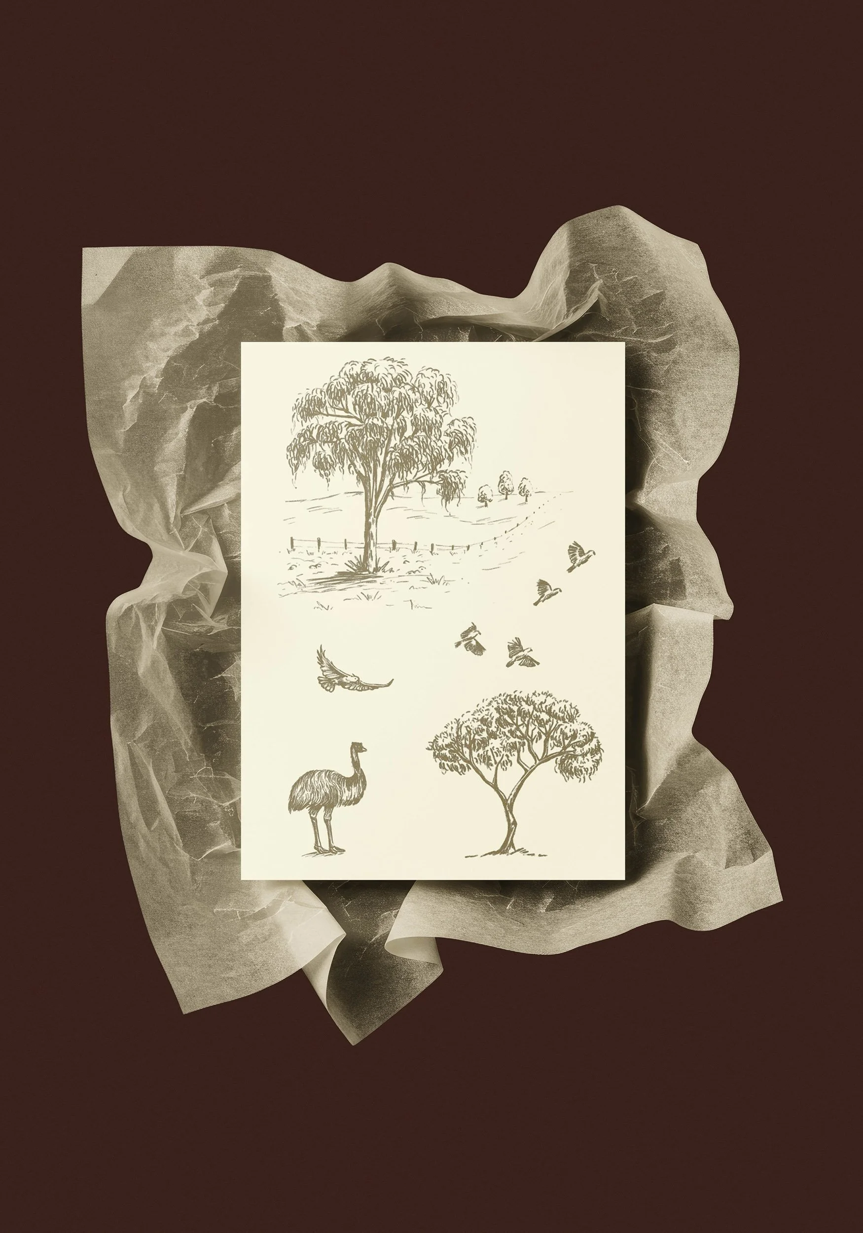 Pencil sketches of gum trees, cockatoos, and an emu on cream paper, sitting on top of crumpled vellum paper.