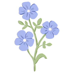 Illustration of three light purple flowers with a green stem and small leaves.