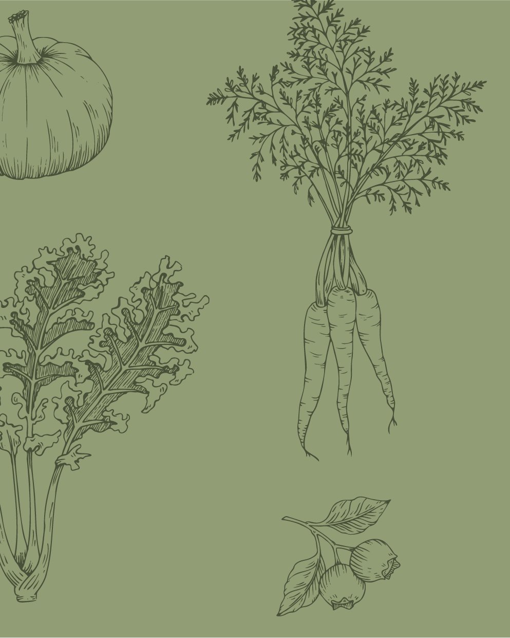 8. Botanica Land Care_Illustrations by Rebecca Ashley_v2_11a.jpg