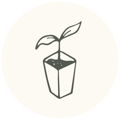 Line drawing of a small plant growing in a rectangular pot.