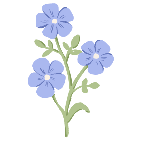 Illustration of three light purple flowers with a green stem and small leaves.