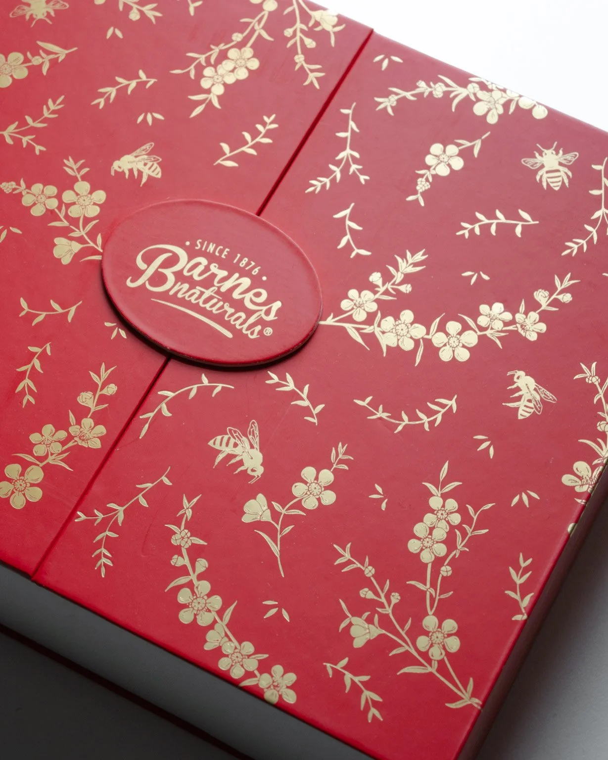 9. Barnes Naturals_Illustrations+Package Design by Rebecca Ashley_v3_04.jpg