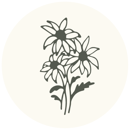 Black and white illustration of three flowers with prominent petals and leaves.