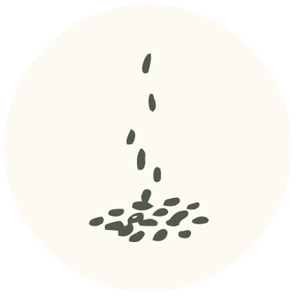 Illustration of seeds dropping onto the ground.