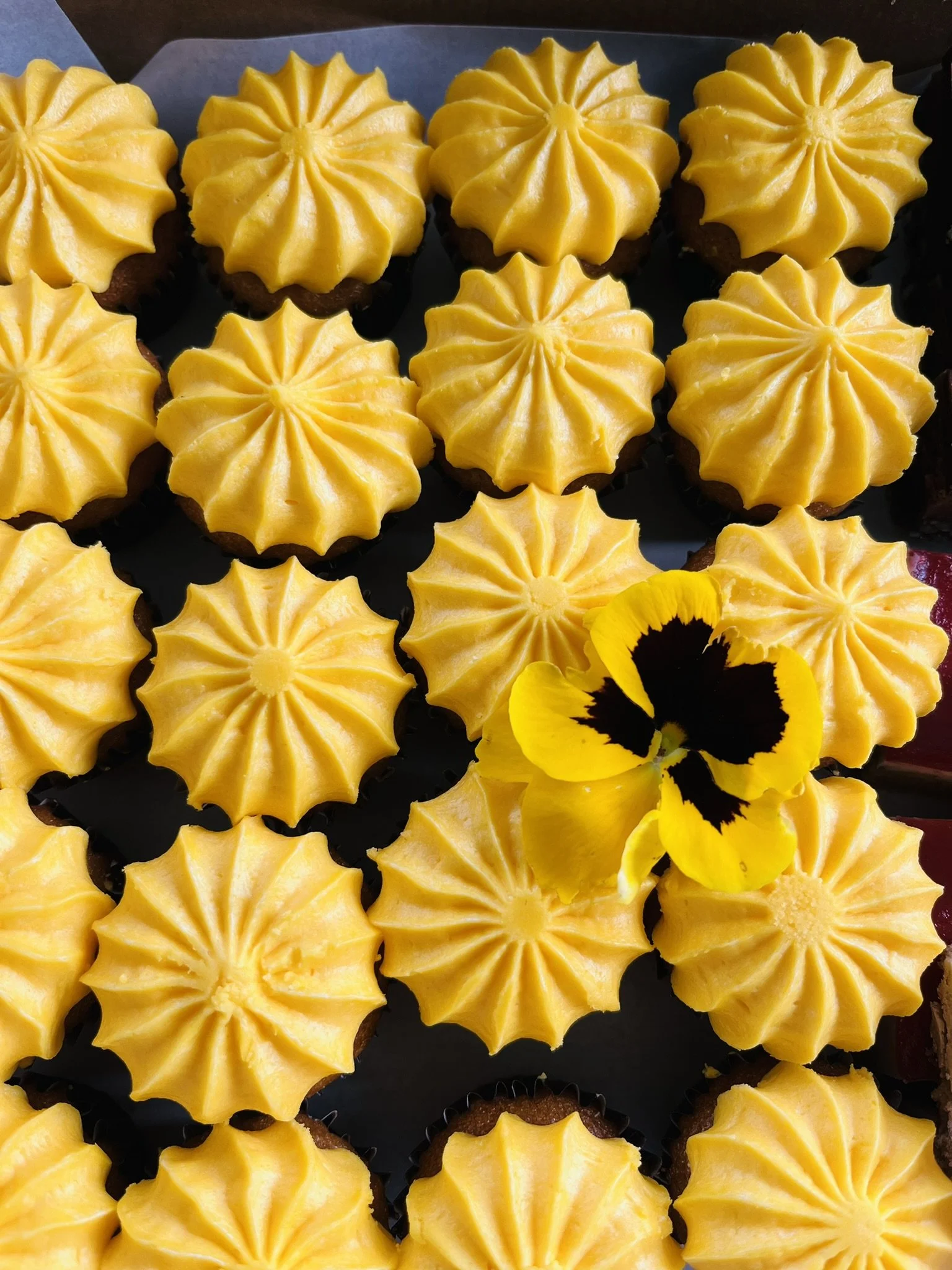 A tray of cupcakes decorated with bright yellow frosting, arranged in rows, with a yellow and black pansy flower among them.