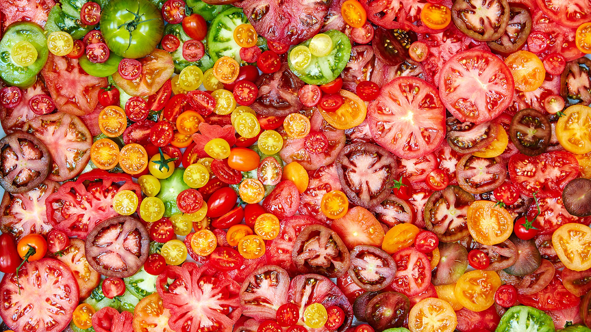 GeorgiaGlynnSmith-5ways-with-Tomatoes-LEW-HiRes-copy,huge.1687388161.jpg