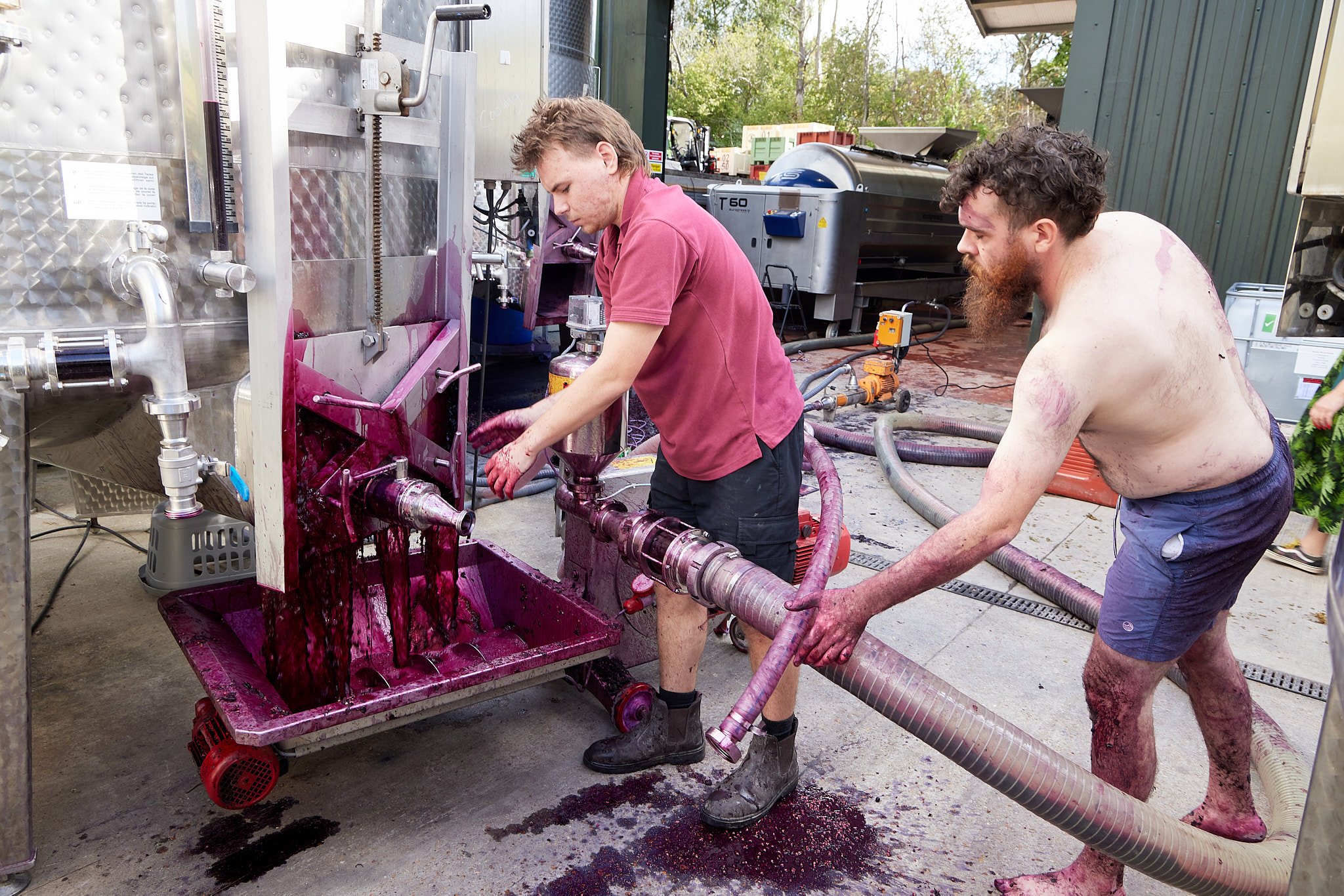 2023_10_03_BolneyWines0104.jpg