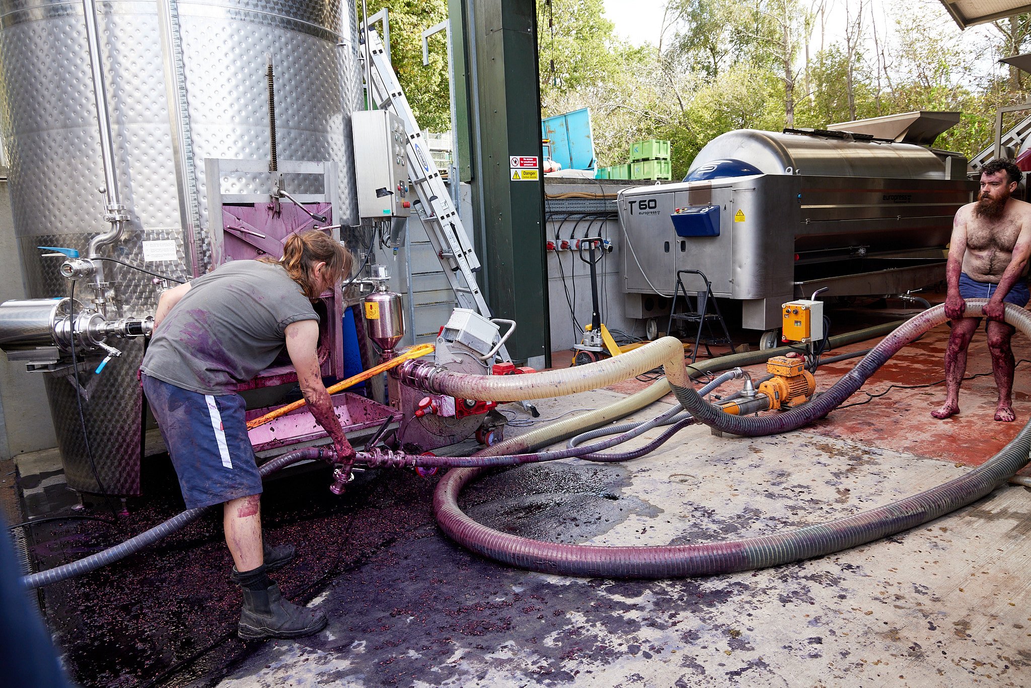 2023_10_03_BolneyWines0151.jpg