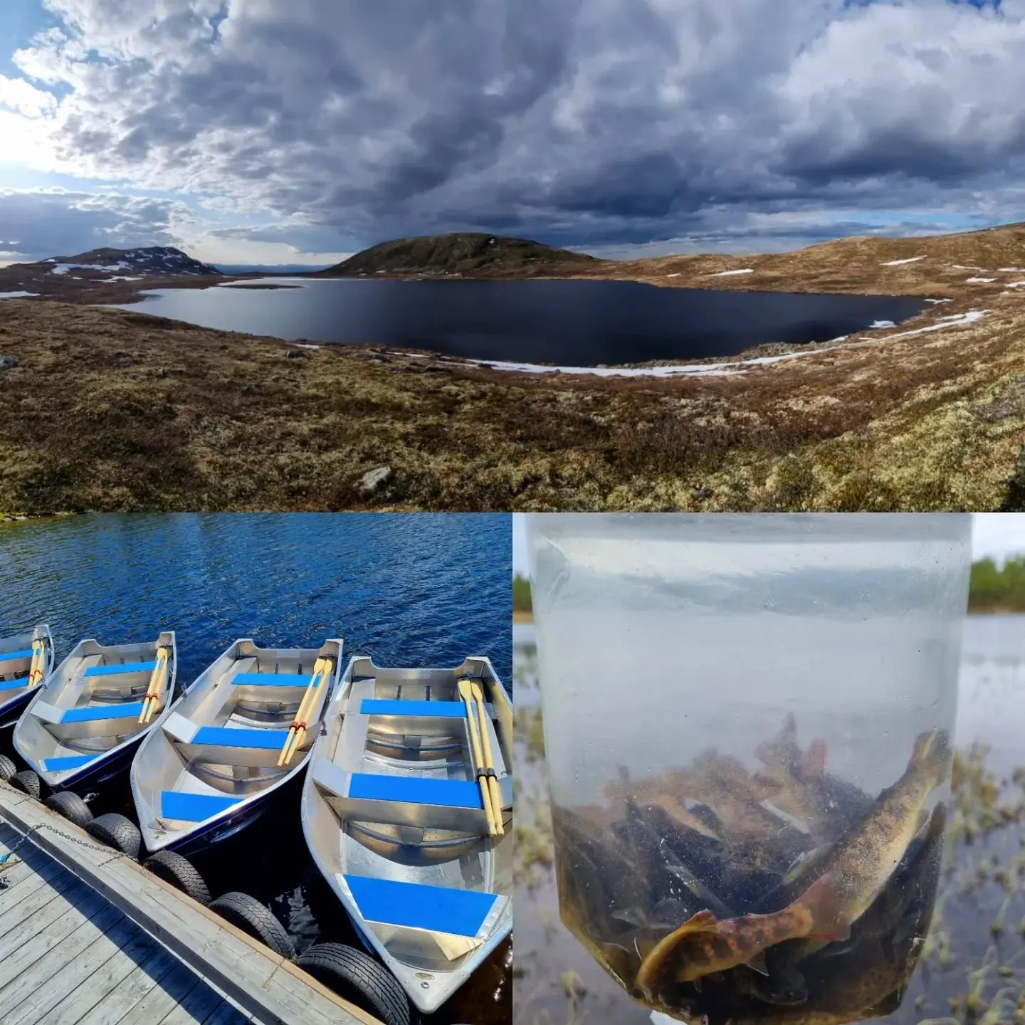 Fiskesesongen i Torpa statsallmenning er godt igang! 