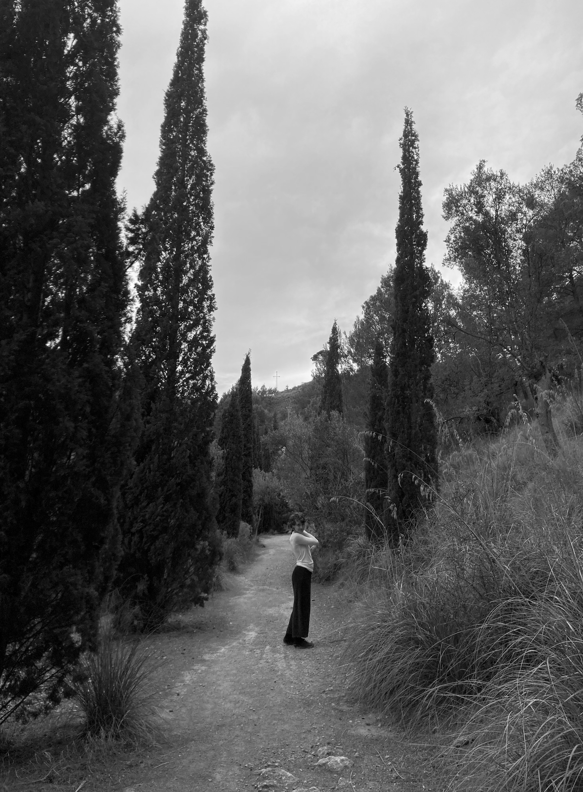 Passim Perception