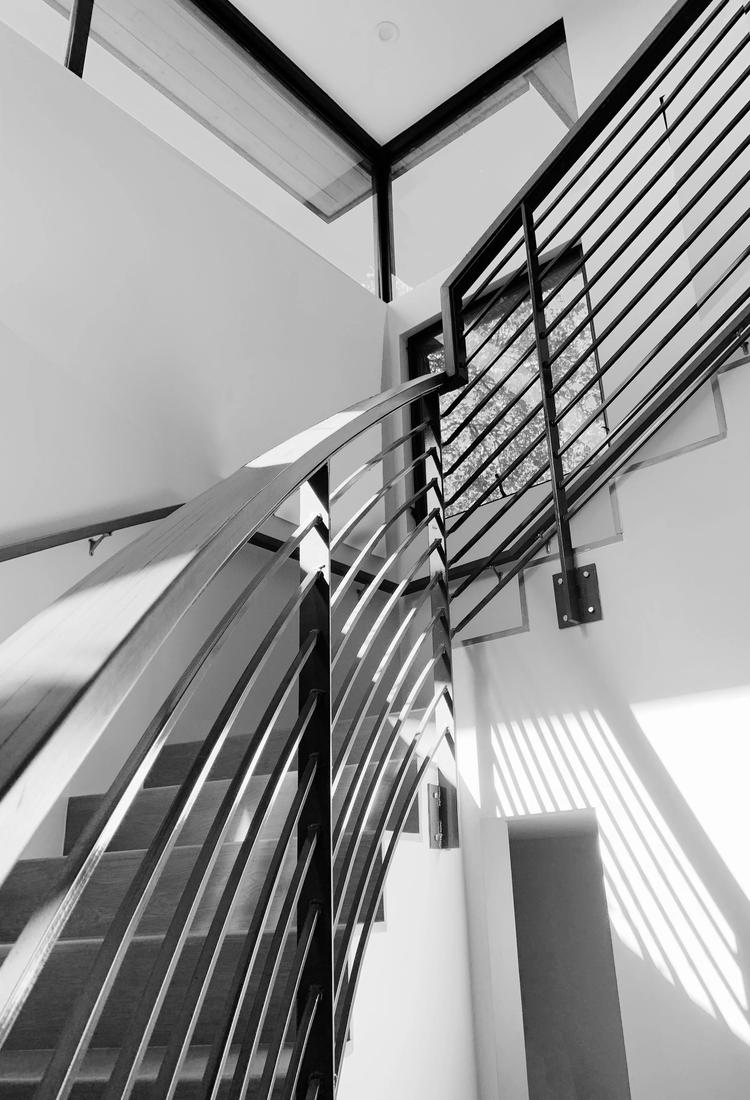 meyer entry1.jpg