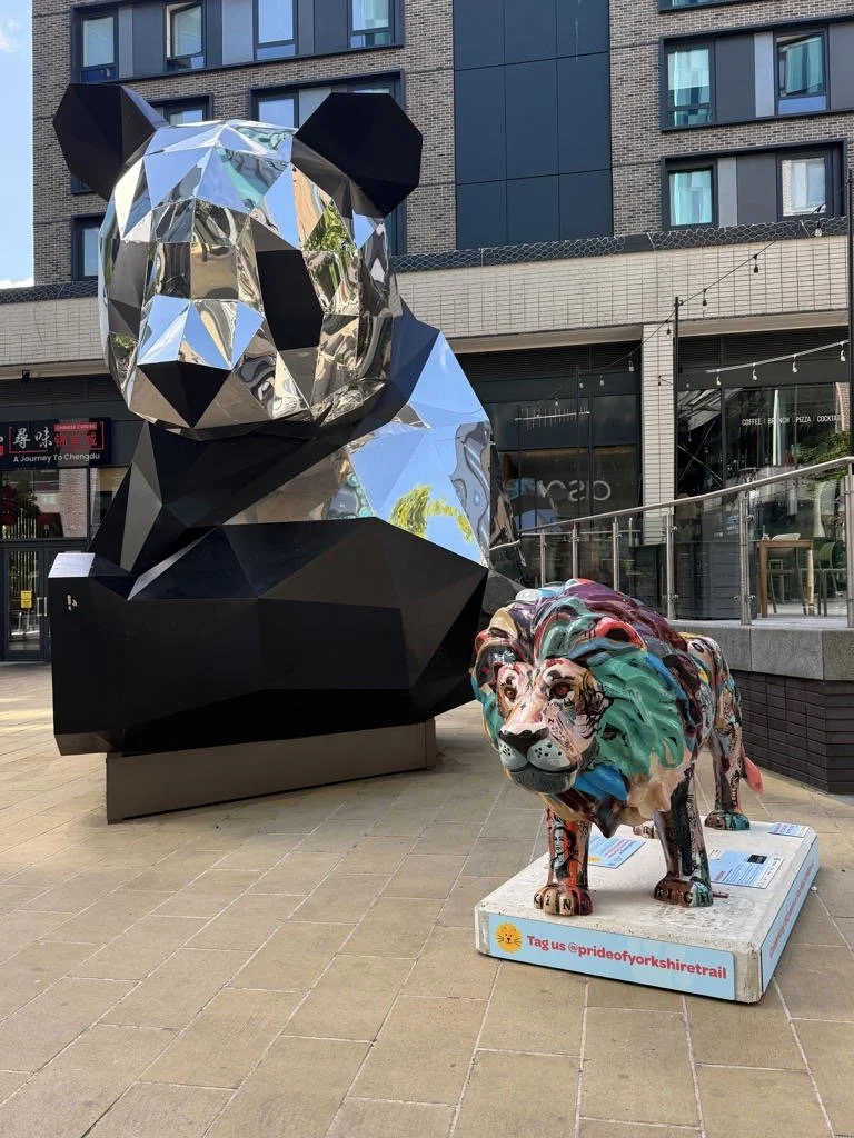 Pandas and Lions: Pride of Yorkshire Roars into New Era Square