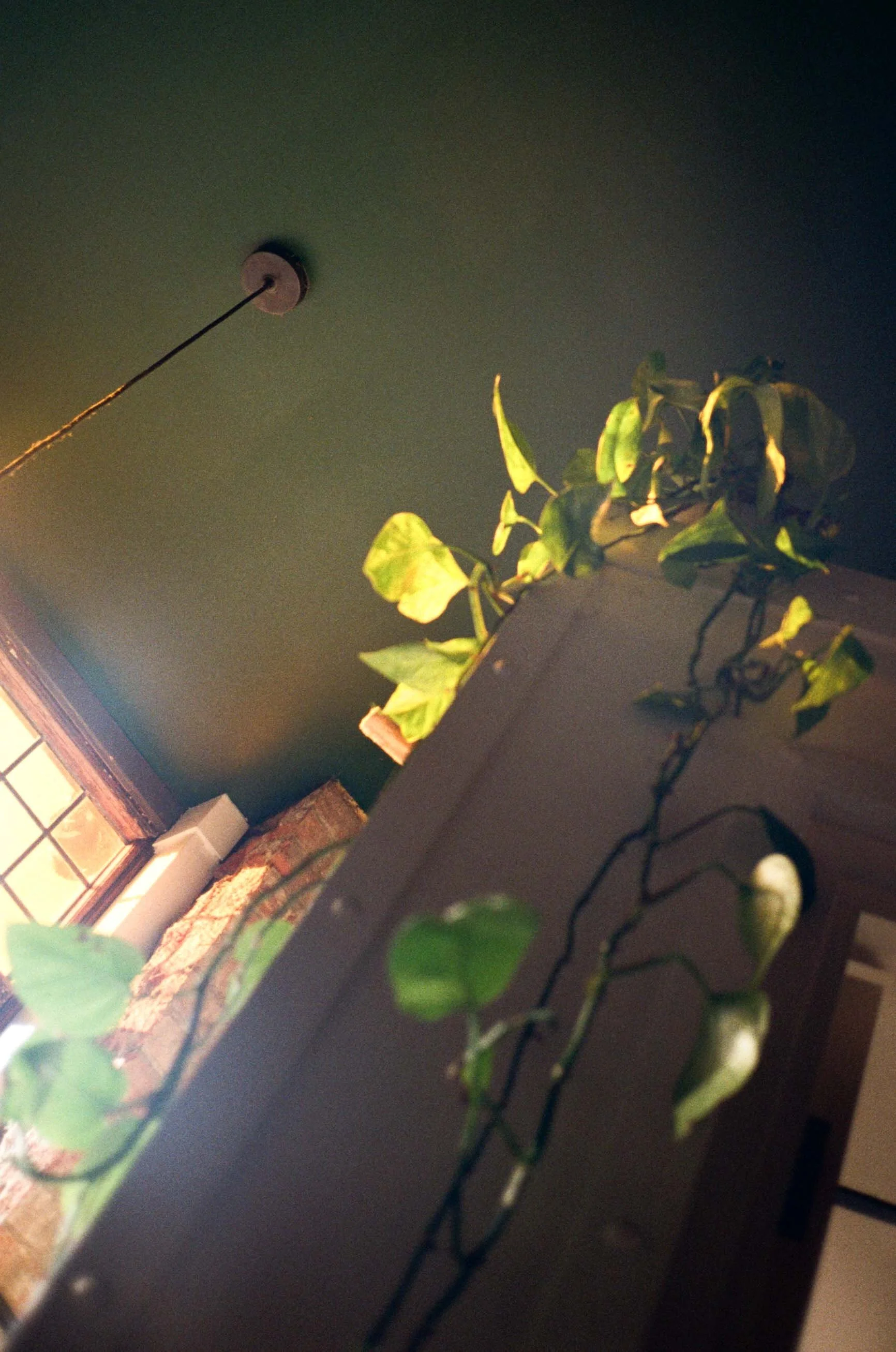 Daisy and Will-40.jpg