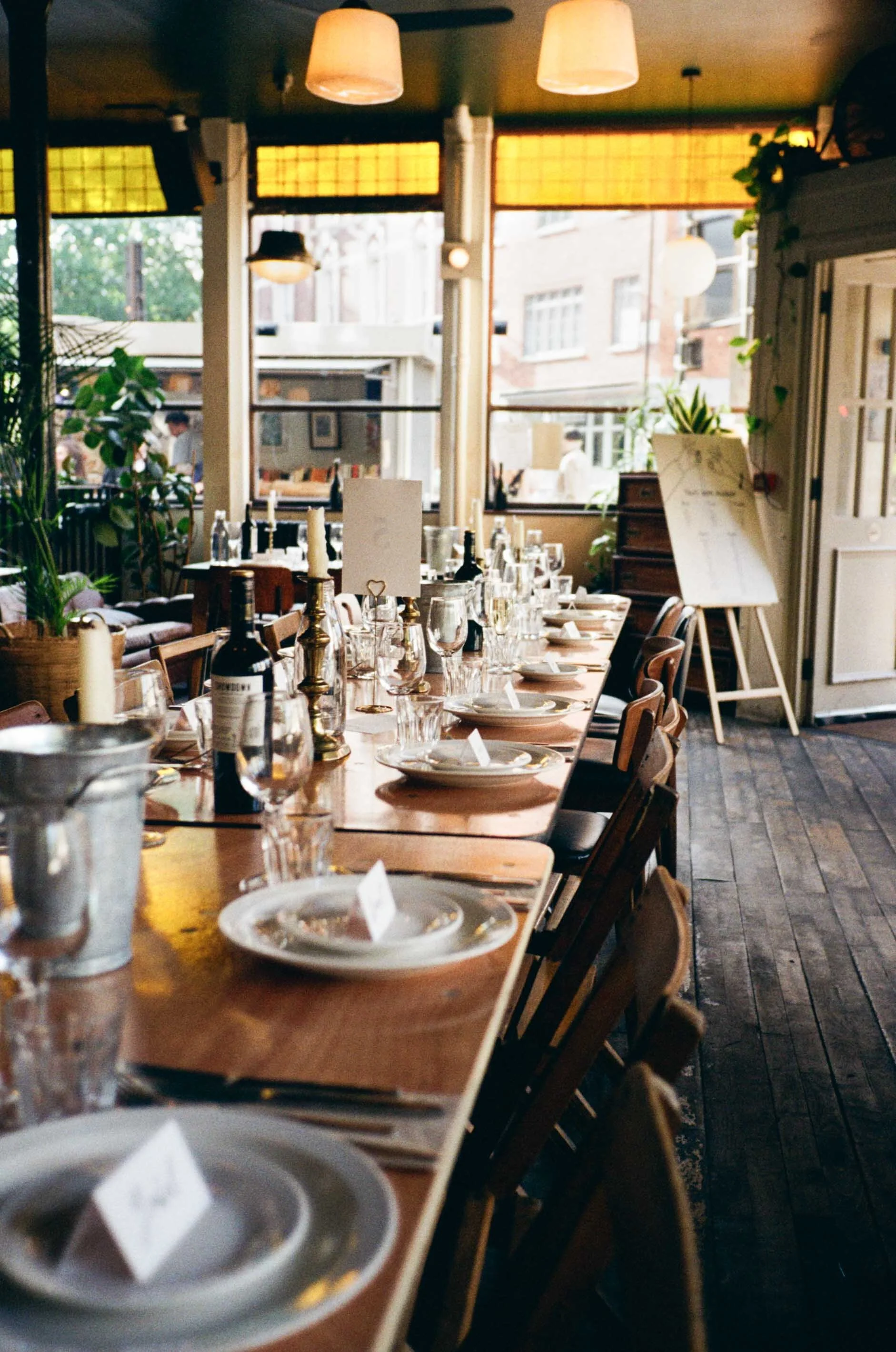 Daisy and Will-68.jpg