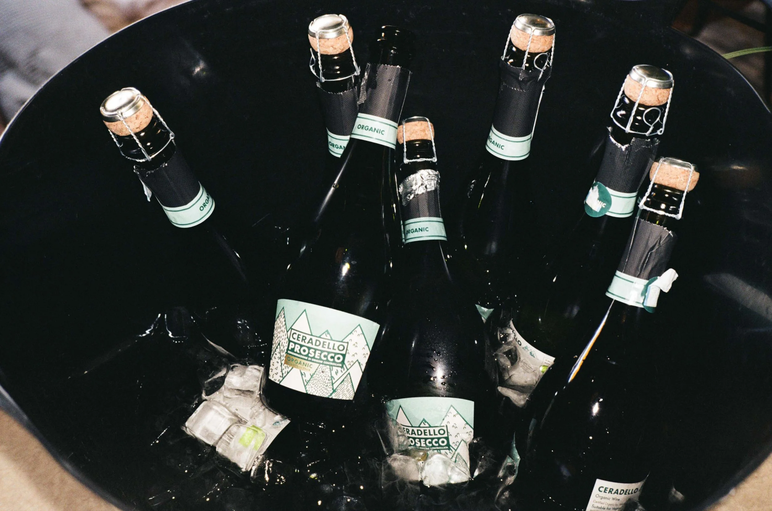 Daisy and Will-70.jpg