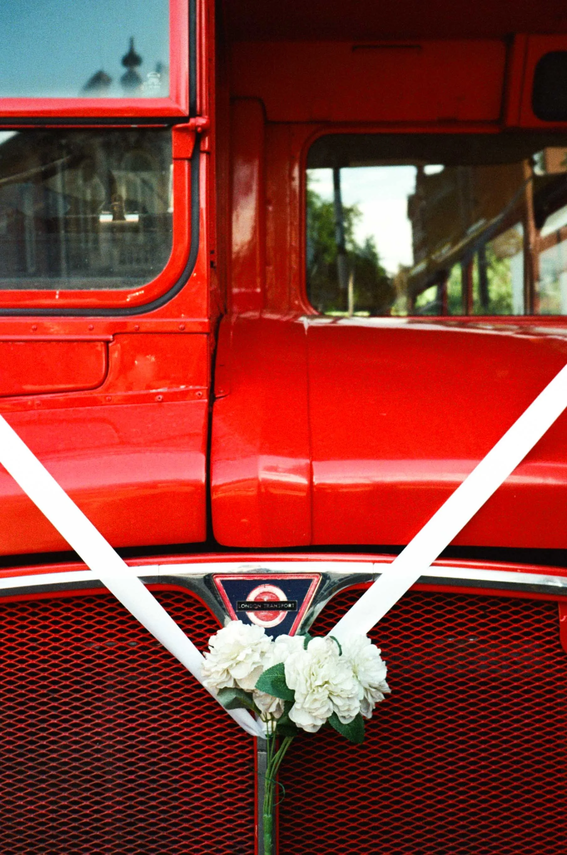 Daisy and Will-105.jpg