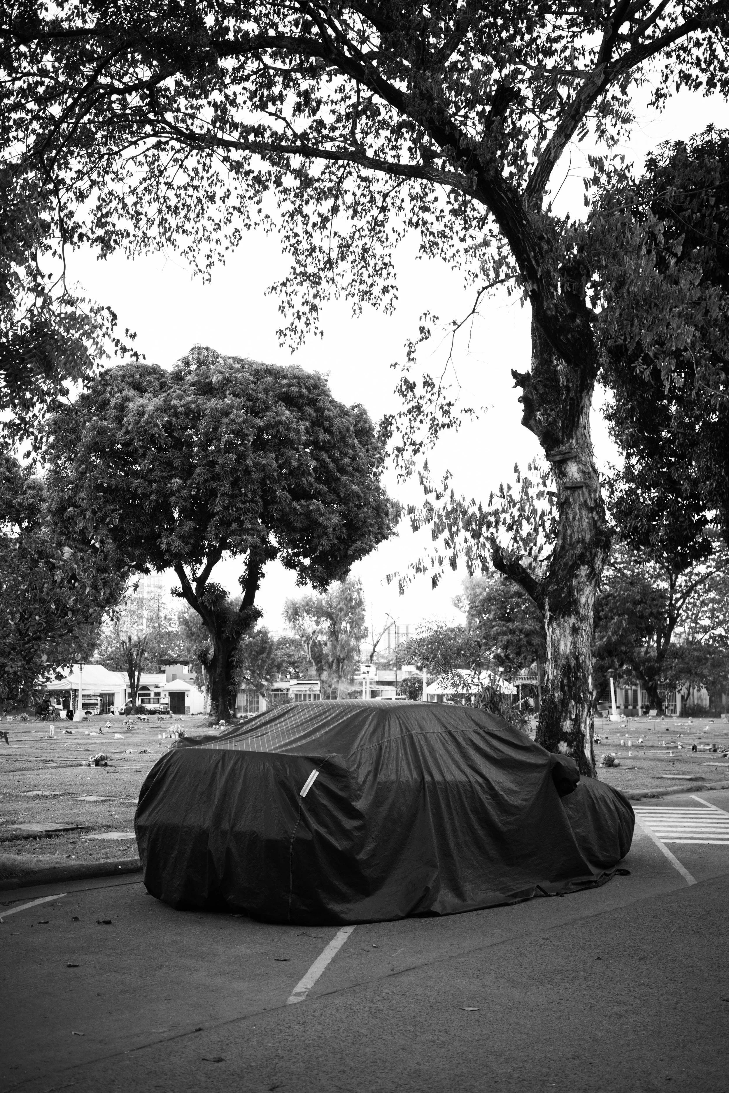 R0003057 kopier_1.jpg