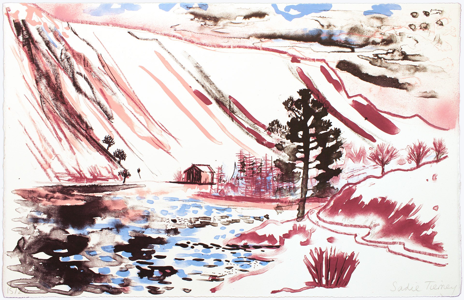 S Tierney Wastwater.jpg