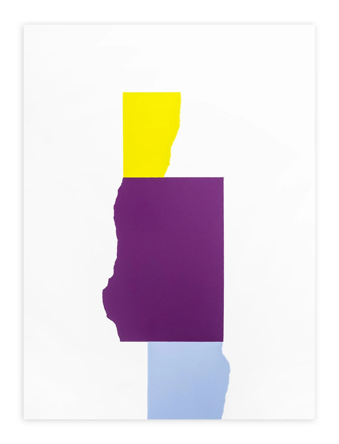 CHROMOPHILIA8 PRINT.jpg