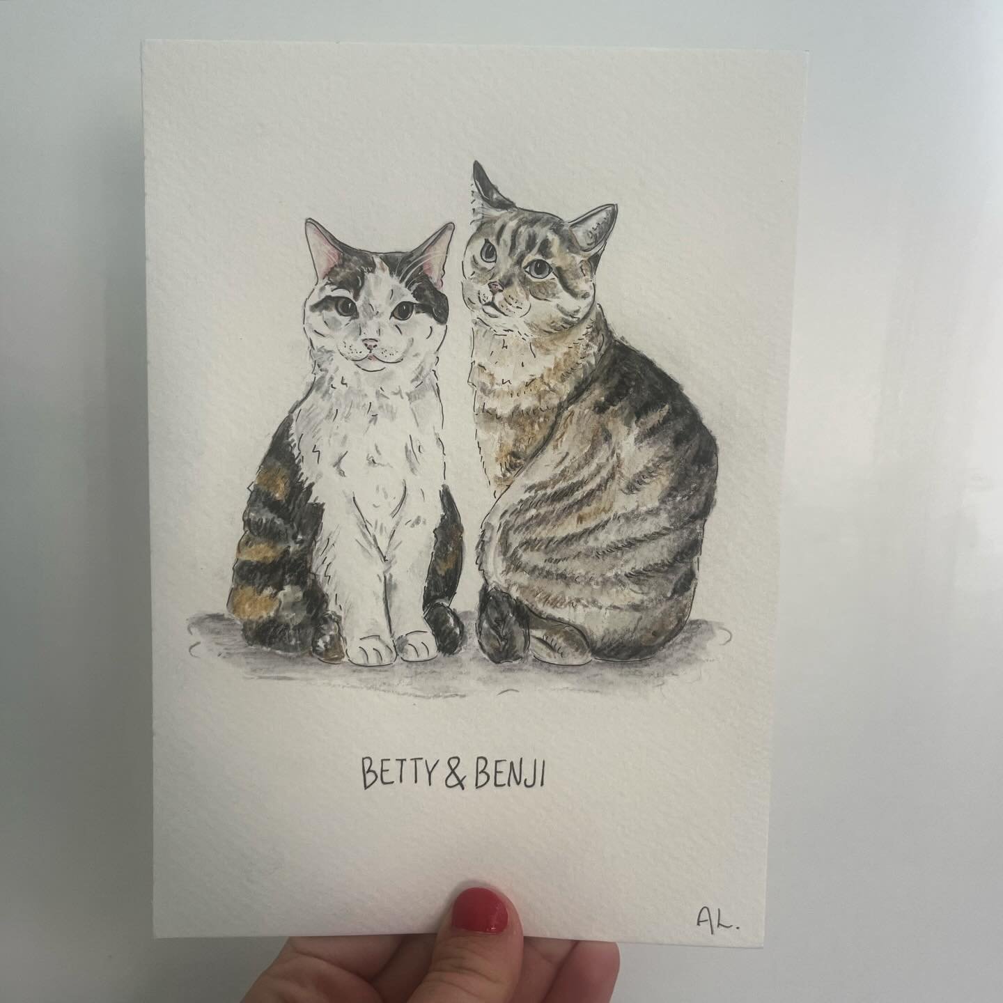 The purrfect peachy pair 😻😻

&mdash;&mdash;&mdash;&mdash;&mdash;&mdash;
#catlover #petportrait #petlovers #tabbycat #illustration #watercolourportrait #catportrait #christmasgiftideas #perfectpet #cat
