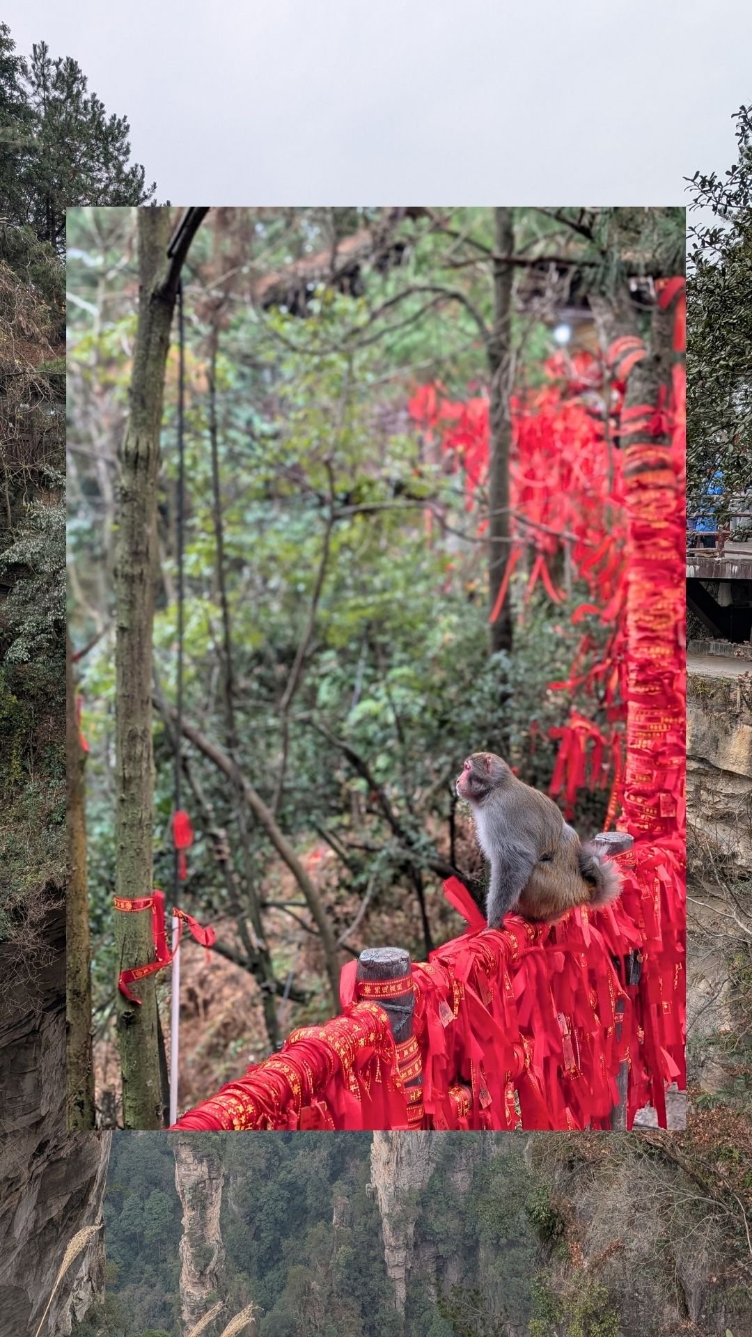 More monkeys, around the First Bridge Under Heaven (天下第一桥)