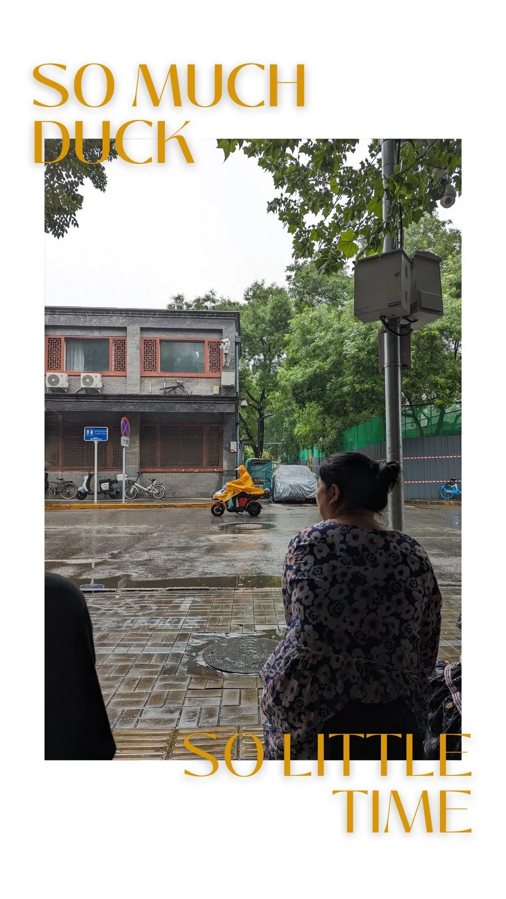 Anticipation building