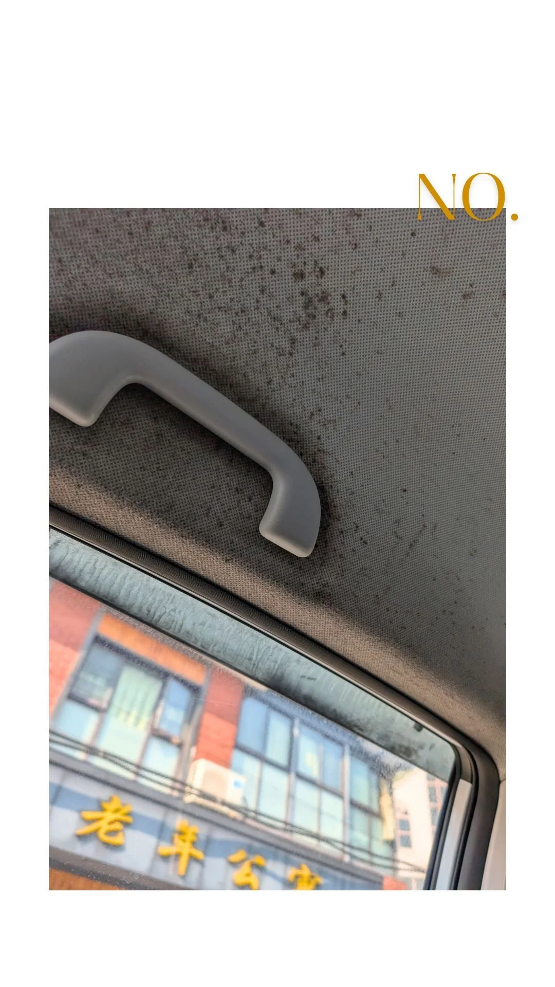 Some of the local Didis offered interesting patterns on the headliner.