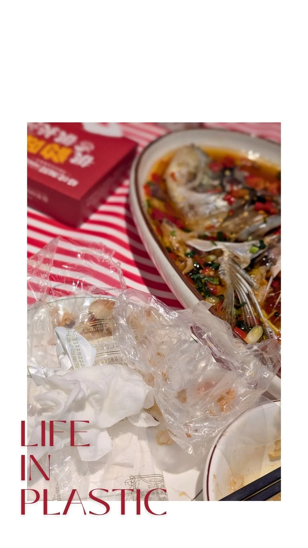 You will often get gloves to dig into your fish heads and into a lot of the food options around town. The amount of plastic left behind after every meal was disheartening and I tried my best, but there's not much you can do when most small eateries o