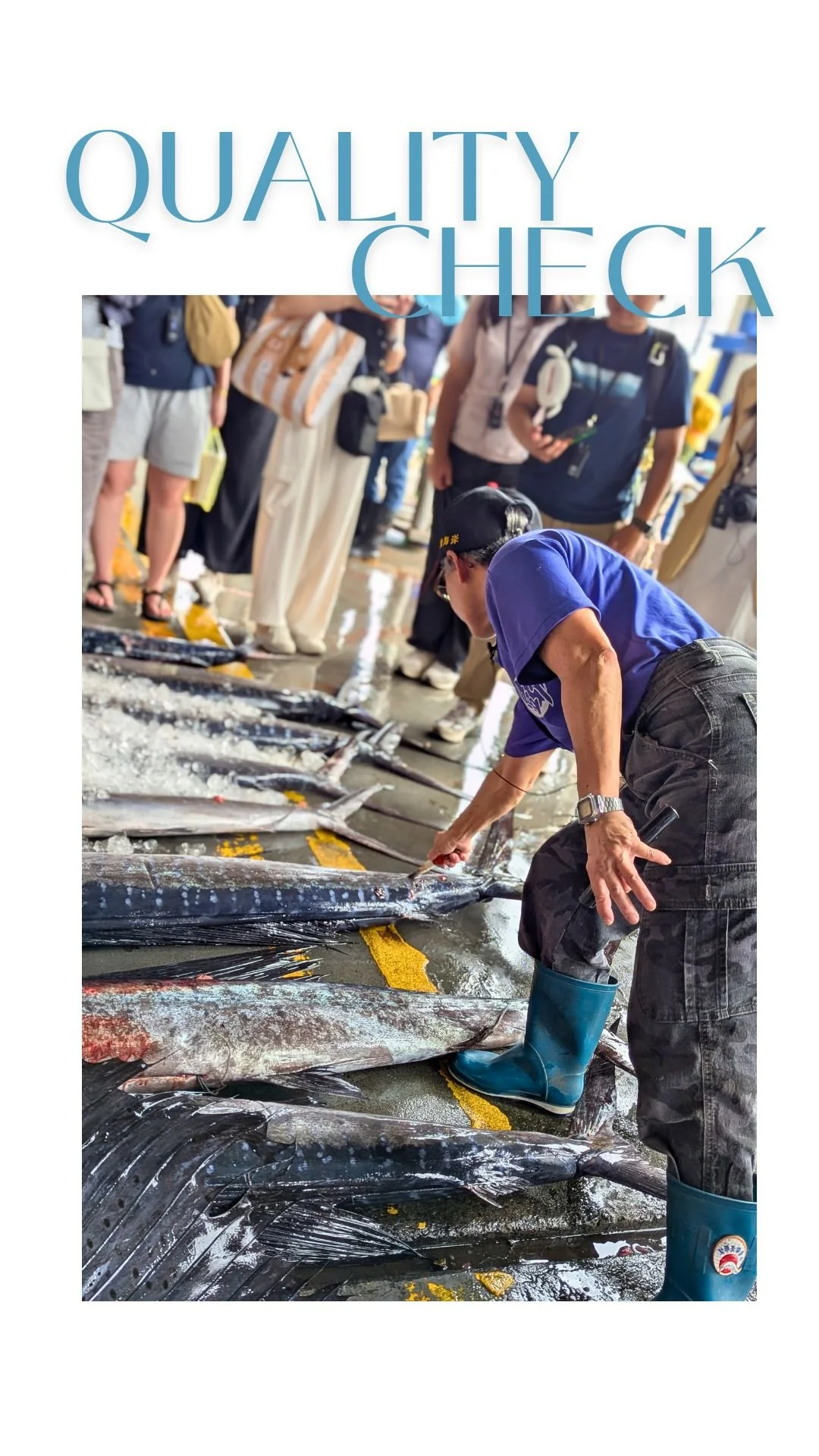 The locals have, throughout the years, kept the fishing knowledge alive in Chenggong, and you'll often see them going around with a probe to test the quality of the flesh before purchasing the best catch.