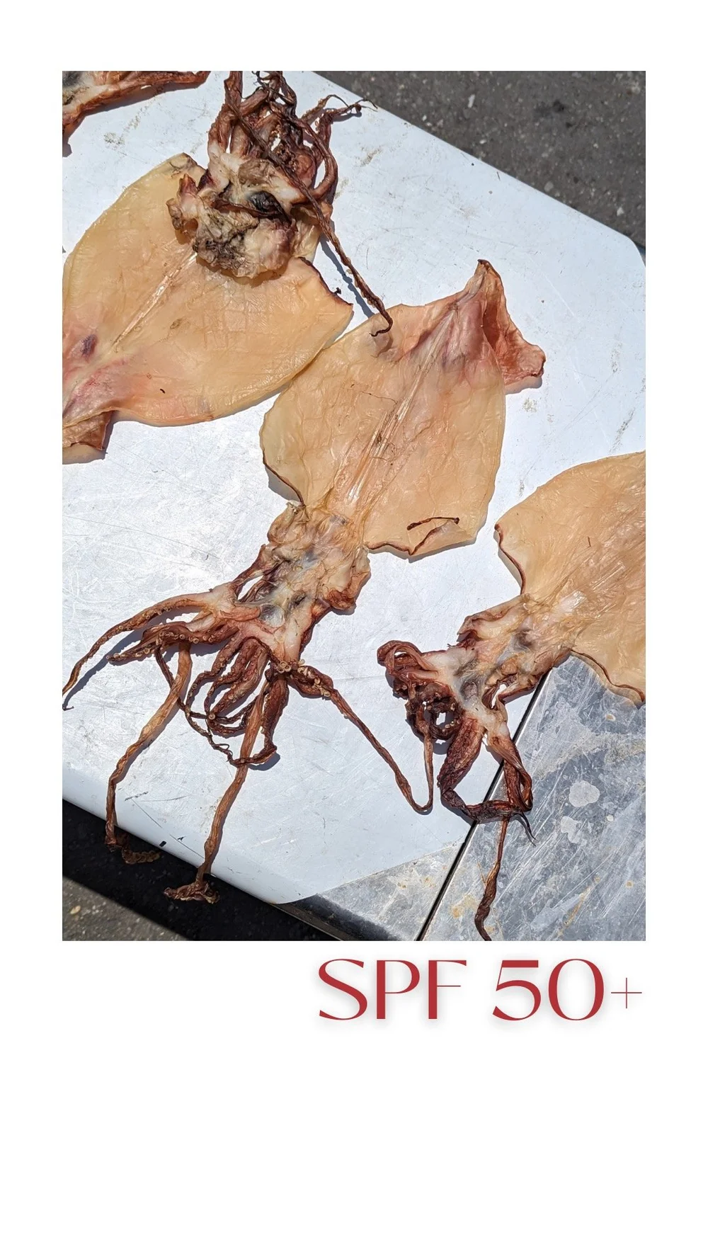 12 dried squid chenggong.jpg