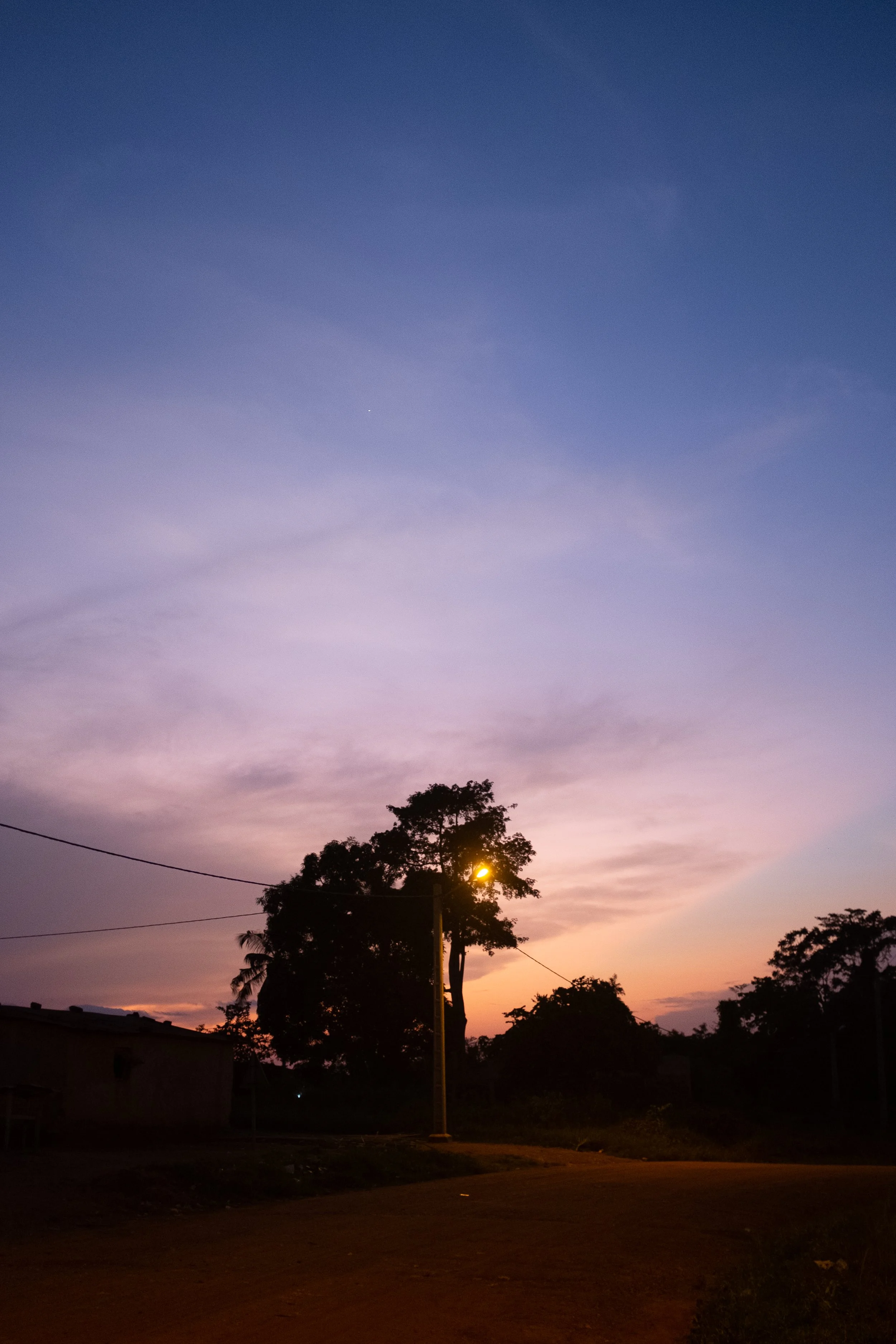 Chimp photography tour. Wildlife photography tour Africa