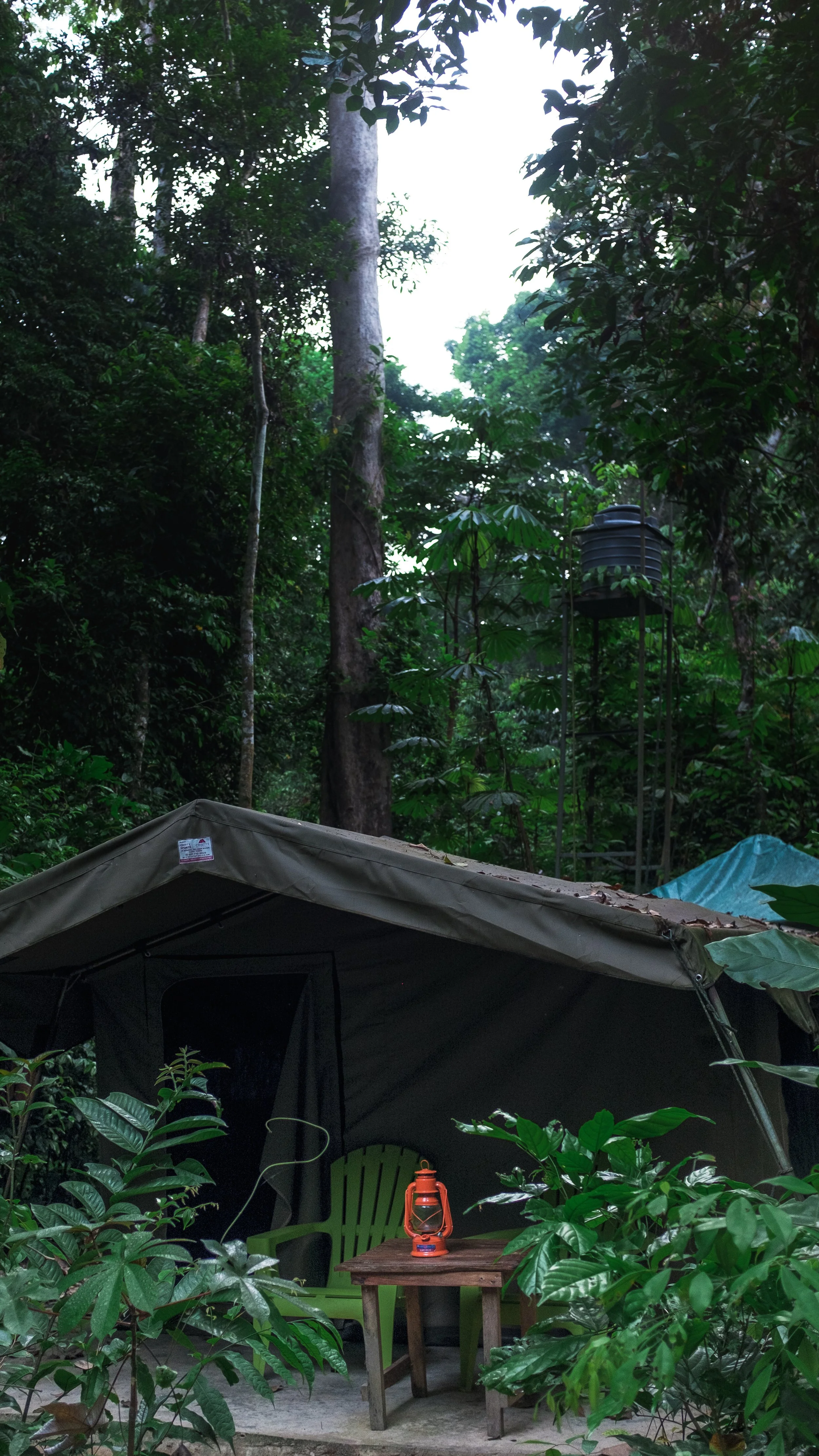 Jungle camp. Chimp photography tour. Wildlife photography tour Africa