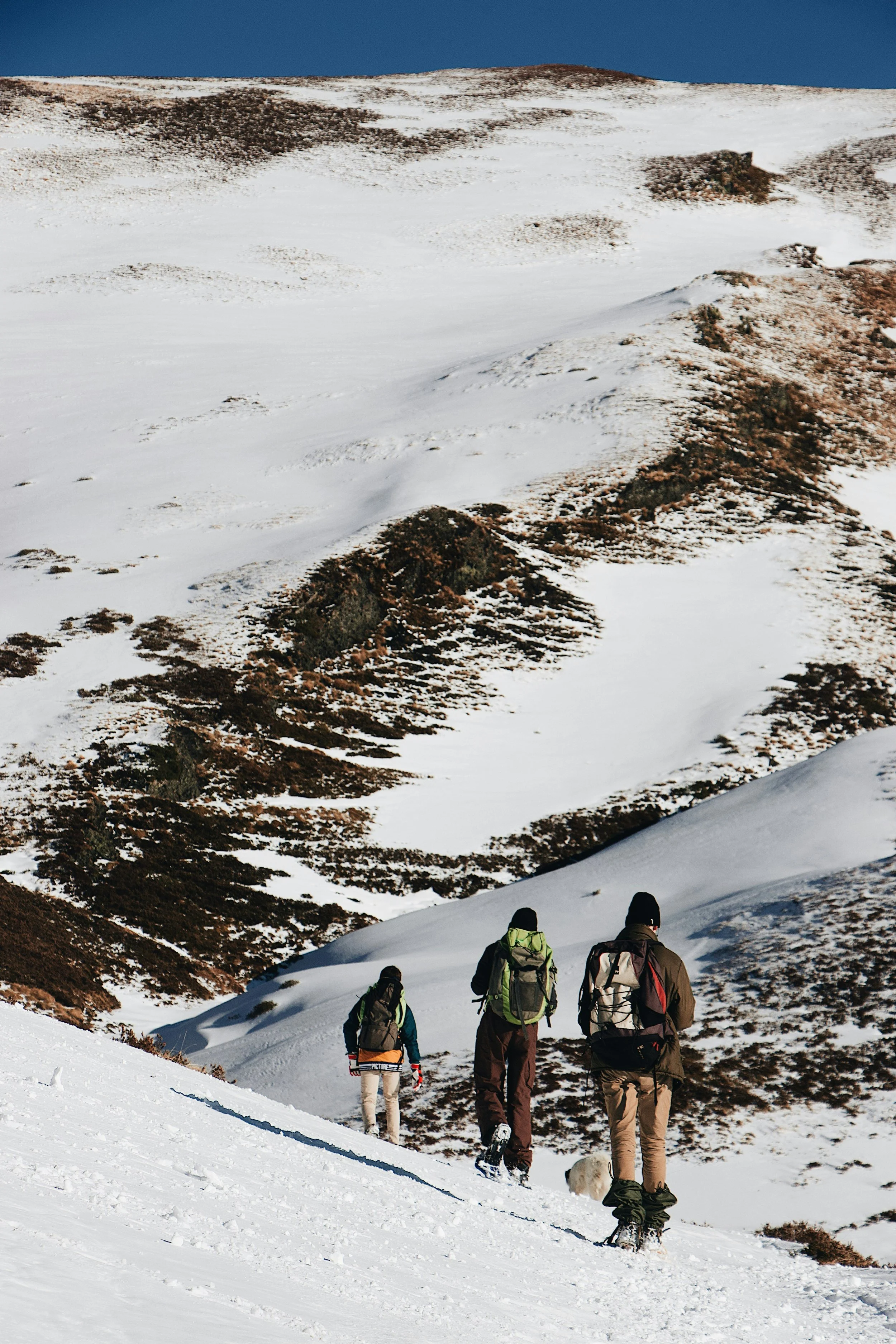 People hiking in the mountains. Snow leopard photography tour Ladakh