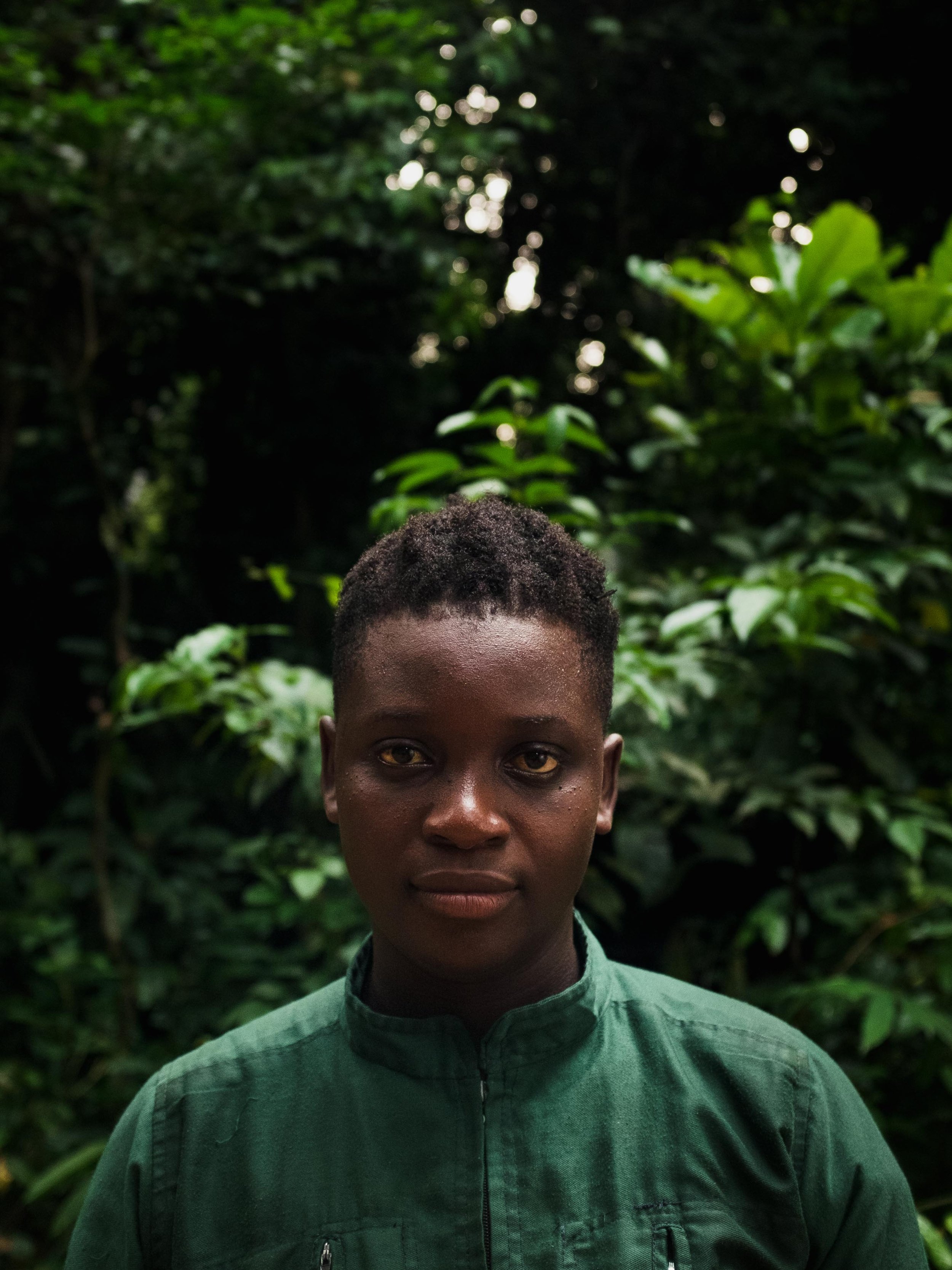 Chimp photography tour. Wildlife photography tour Africa