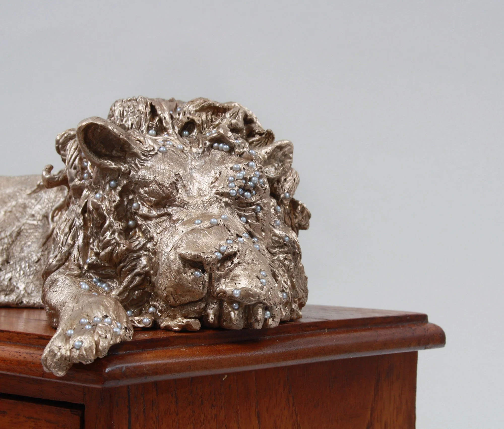 lion face close up .jpg