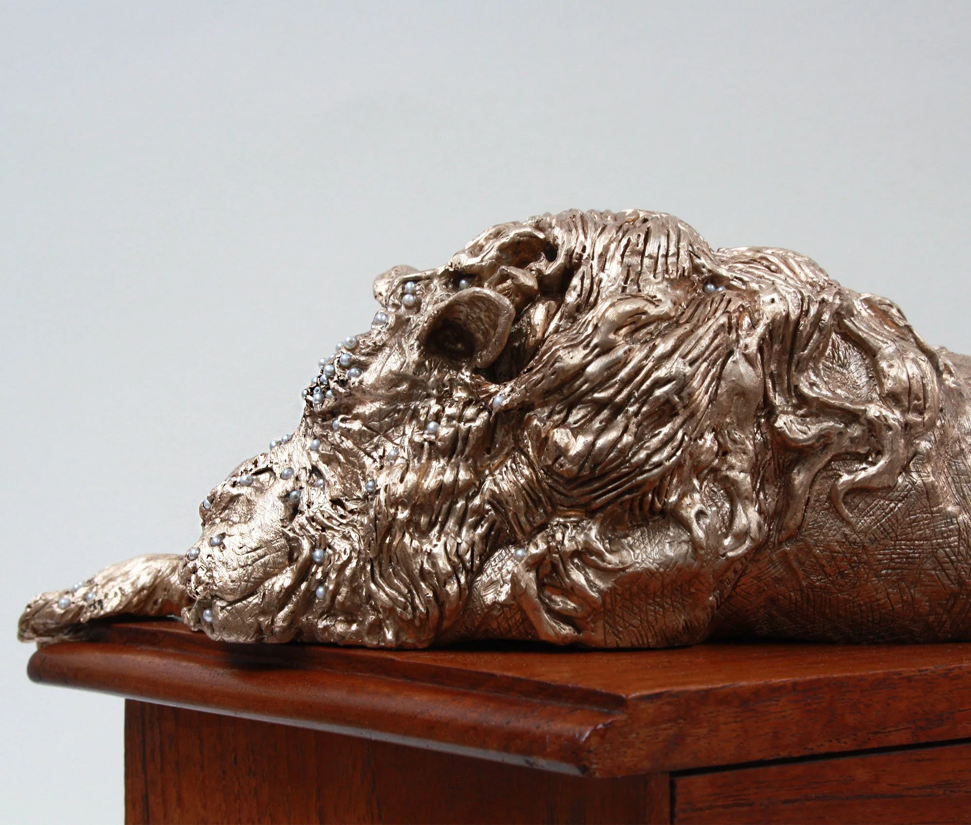 lion from the side.jpg