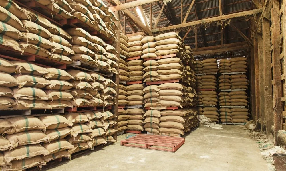 Massive Ration Storage Delayed Census Denies Food Security to 120 Million Indians - Newsreel Asia
